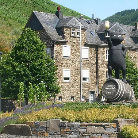 Mosel Ferienhaus Kleine Merle Zell an der Mosel Exterior photo